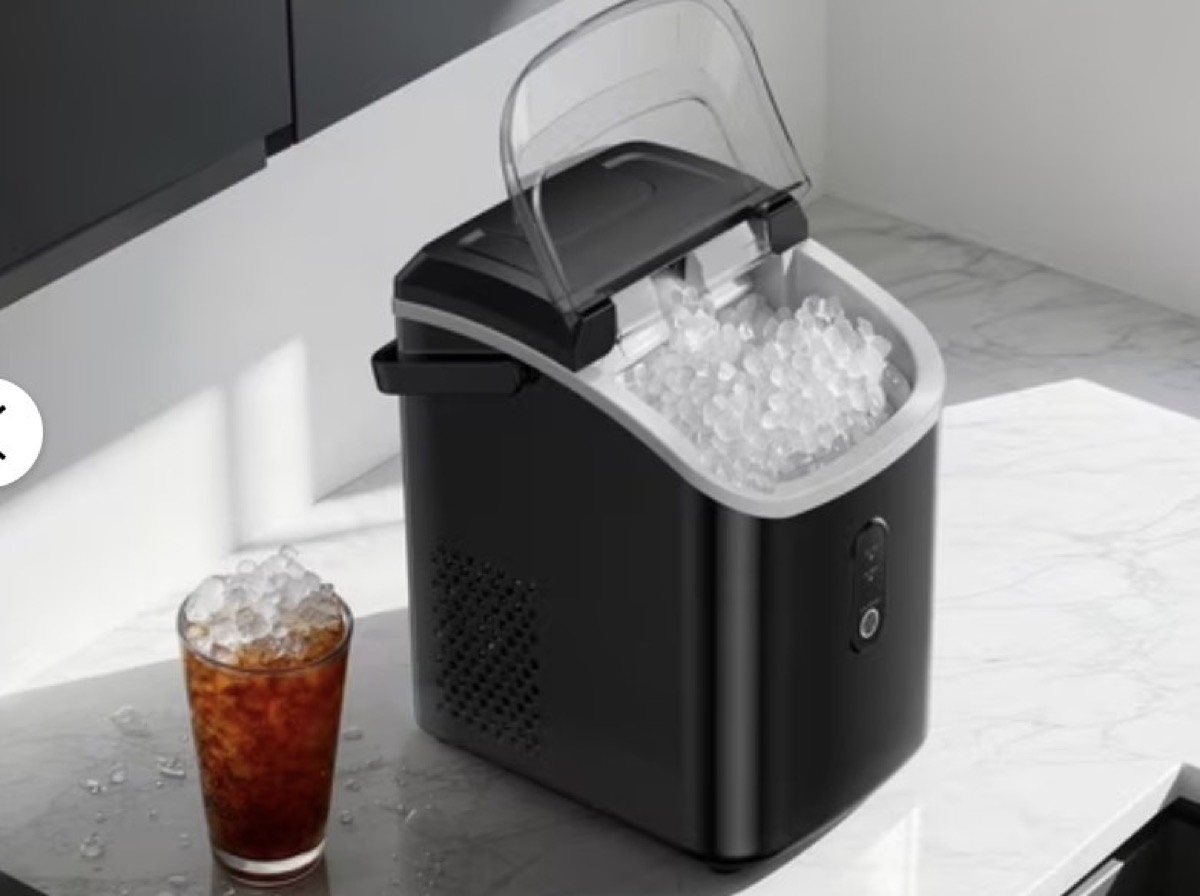 Ice maker